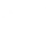 Salt Media